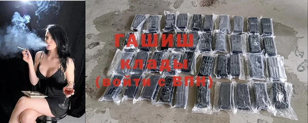 хмурый Алексин