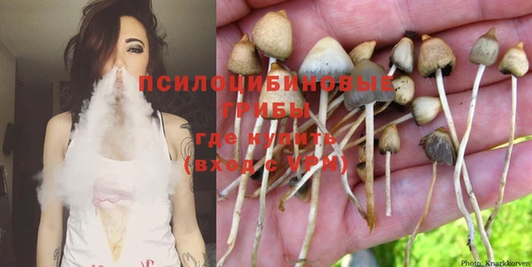 ГАЛЛЮЦИНОГЕННЫЕ ГРИБЫ Алзамай
