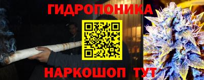 стафф Тулун